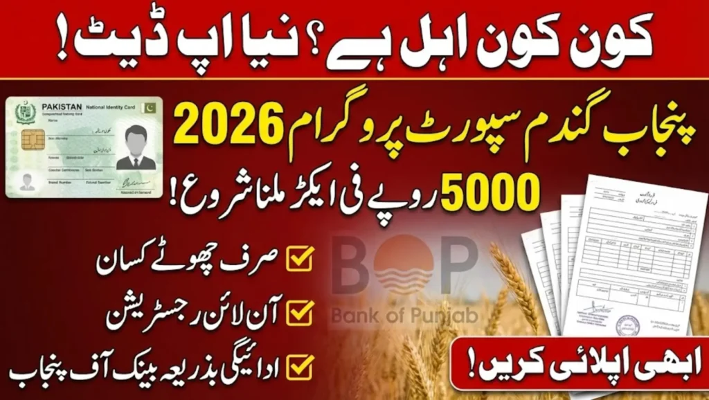 CM Punjab Wheat Support Program 2026 Eligibility, Registration and Benefits
